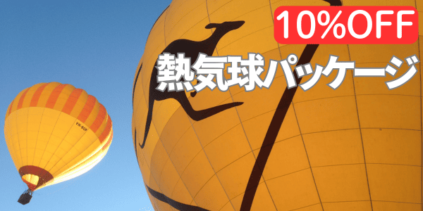 熱気球パッケージ