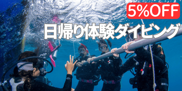 日帰り体験ダイビング、5%オフ