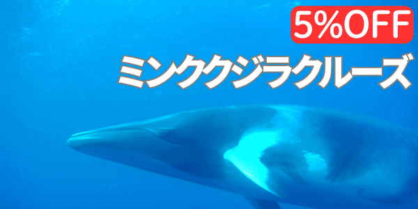 ミンククジラクルーズ、5％オフ