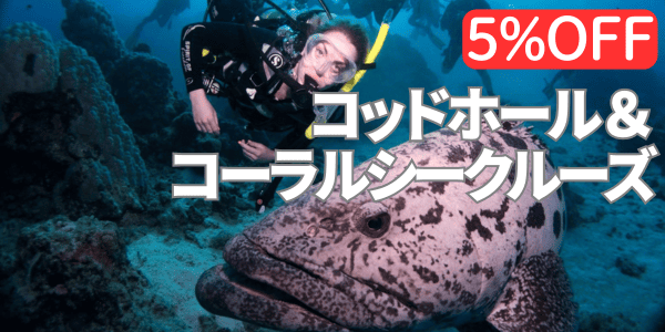 コッドホール＆コーラルシークルーズ、5％オフ